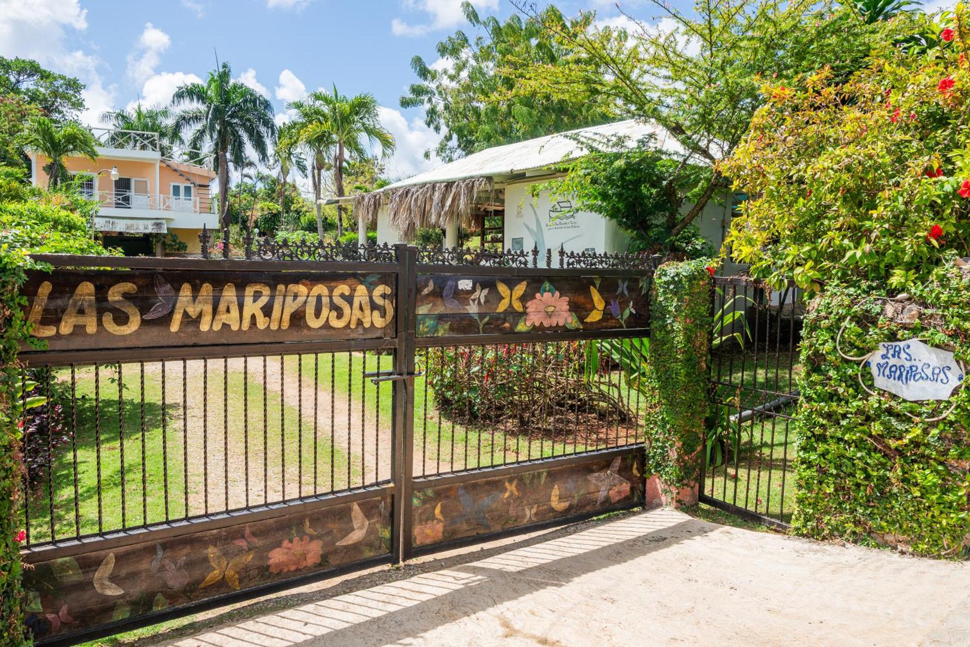 Las Mariposas Las Galeras Exterior foto