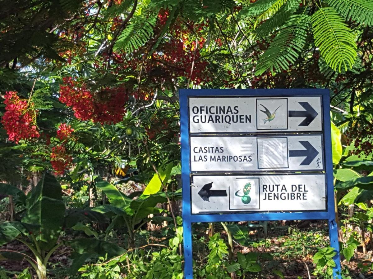 Las Mariposas Las Galeras Exterior foto
